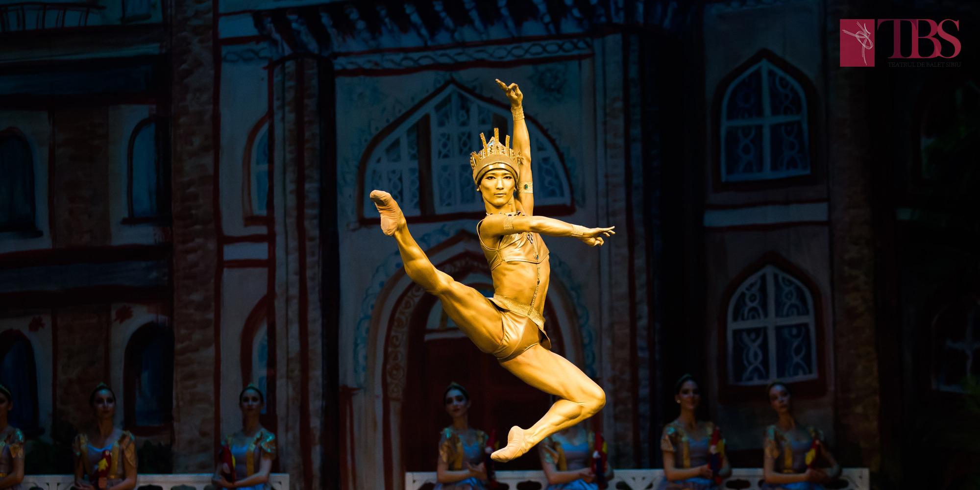 Teatrul de Balet Sibiu caută dansatori pentru noul sezon