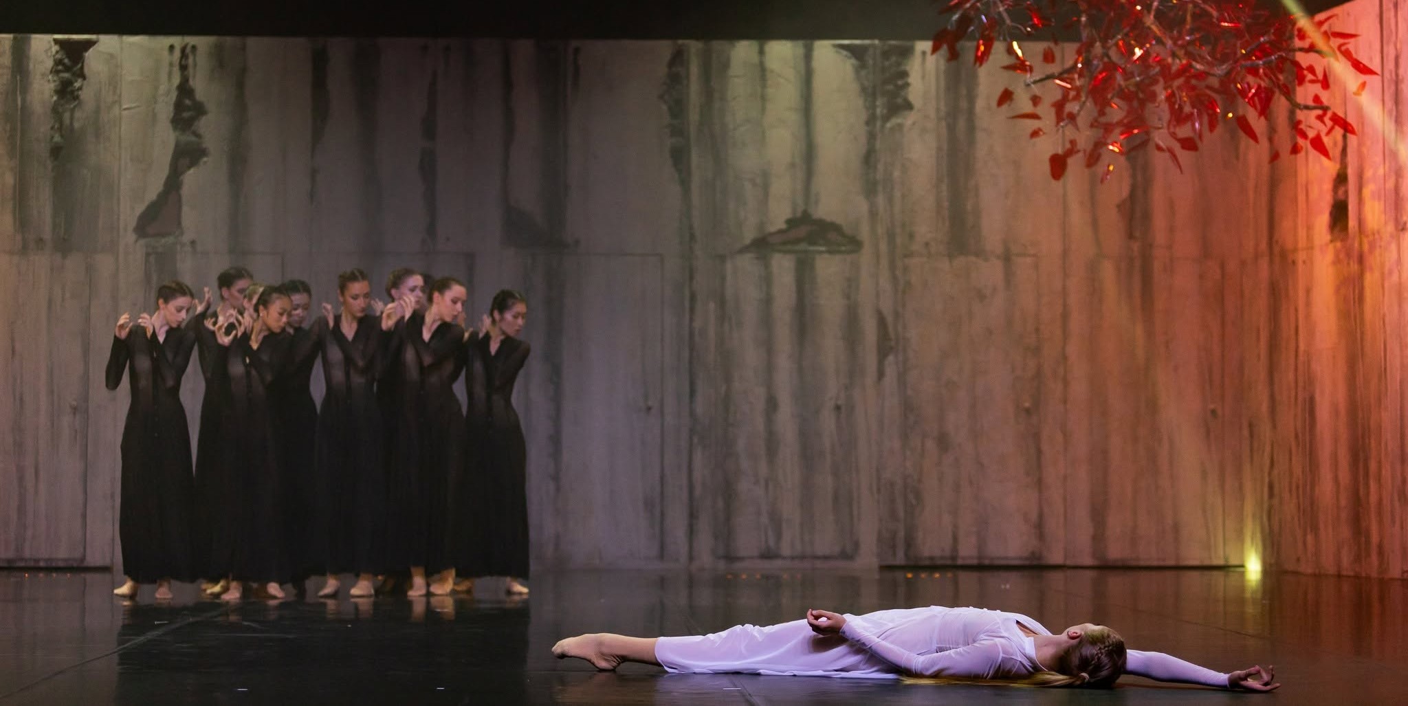 Seară Stravinski la Teatrul de Balet Sibiu: O întâlnire explozivă între dansul contemporan și capodoperele muzicale universale