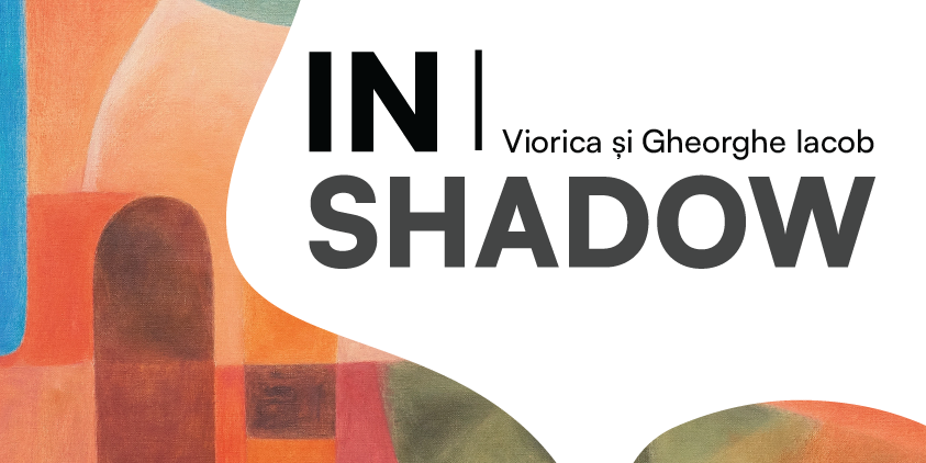 IN|SHADOW - Expoziție la Muzeul Brukenthal