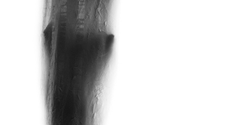 Recital Cameral și expoziție de fotografie - în weekend la Filarmonica Sibiu