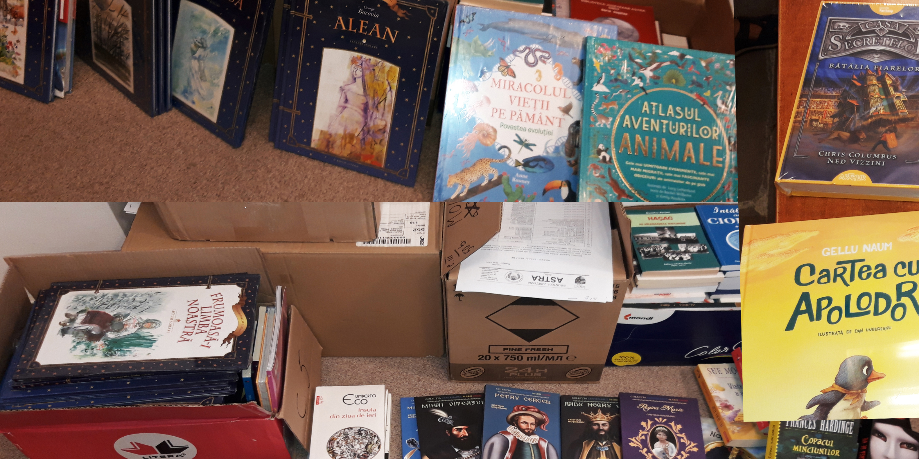 Biblioteca ASTRA susține cultura română peste hotare