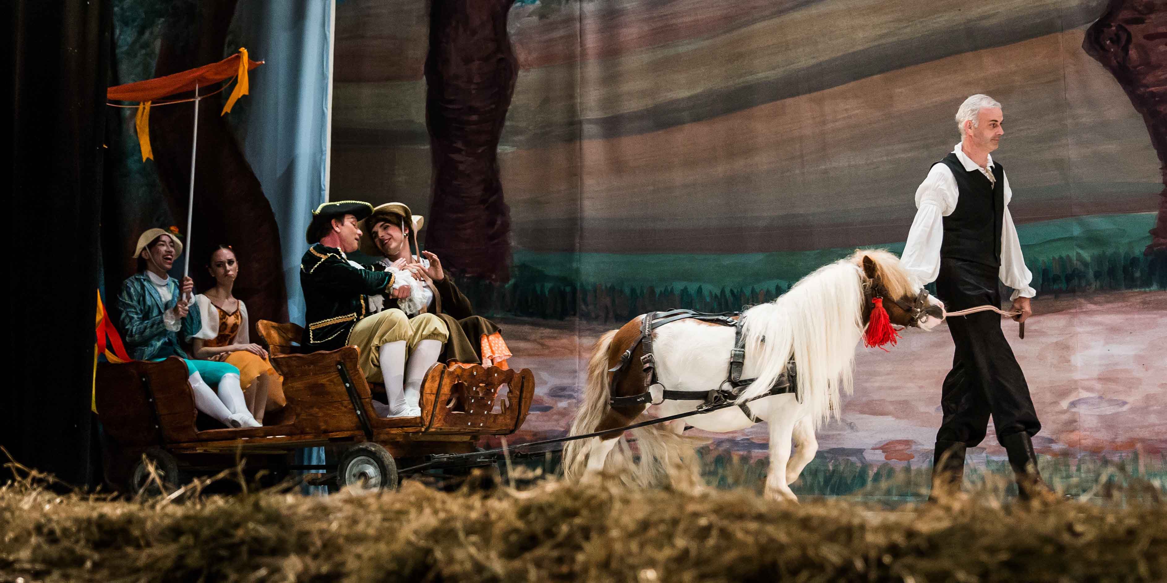 Baletul comic în două acte „La fille mal gardée” productia TBS, in 10 martie la Sibiu