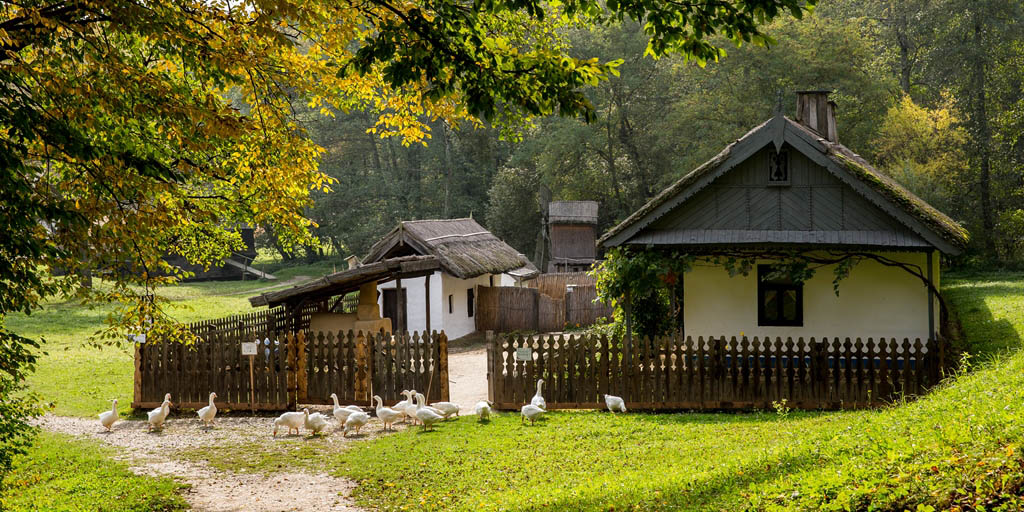 ”Sărbătoarea Deltei” la Muzeul ASTRA, timp de o săptămână