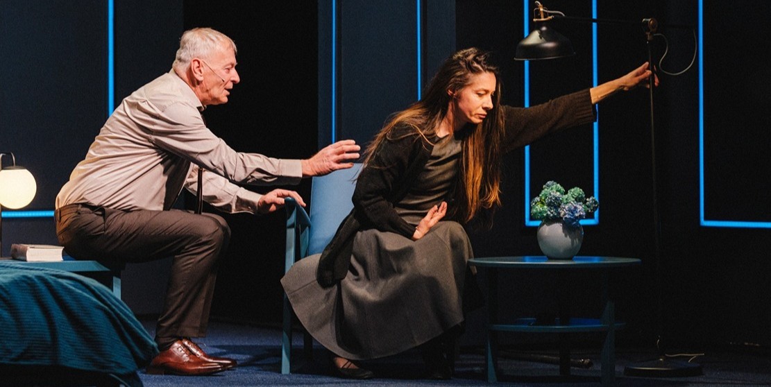 FITS: 38 de spectacole de teatru, muzică, dans și circ pot fi urmărite online